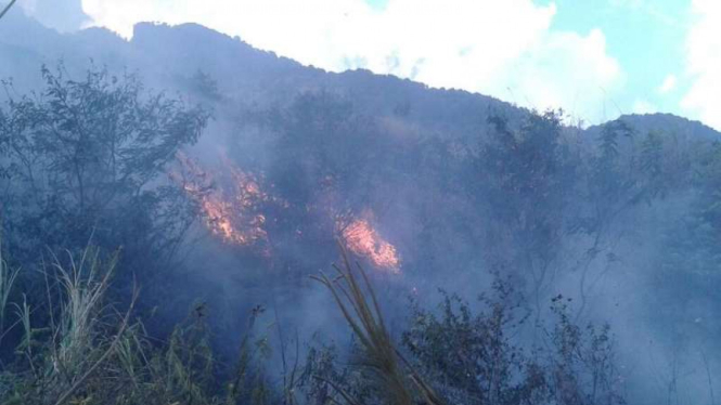 Kebakaran hutan di Gunung Guntur.