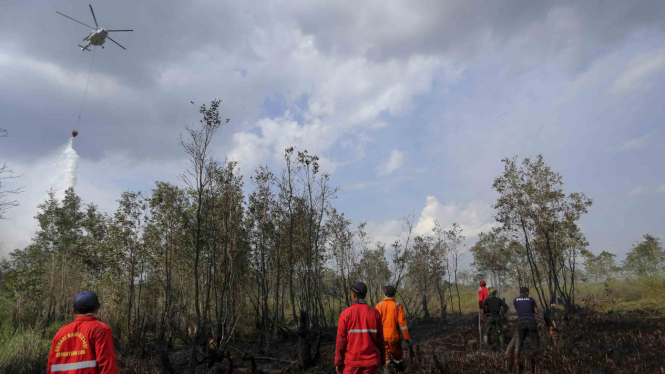 Ilustrasi Kebakaran Hutan dan Lahan di Ogan Hilir Sumatera Selatan