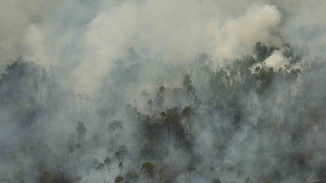 Kebakaran Hutan dan Lahan di Ogan Hilir Sumatera Selatan