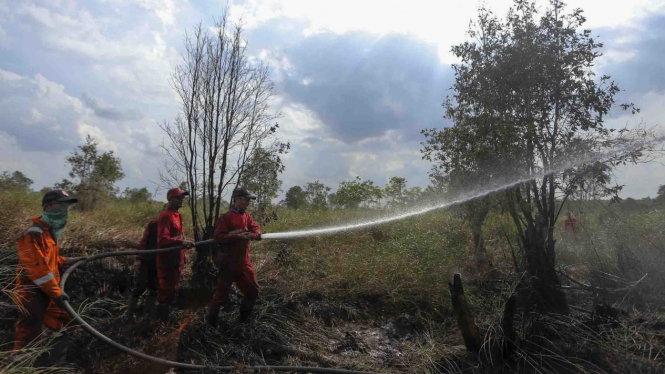 Ilustrasi pemadaman Kebakaran Hutan dan Lahan di Ogan Hilir Sumatera Selatan