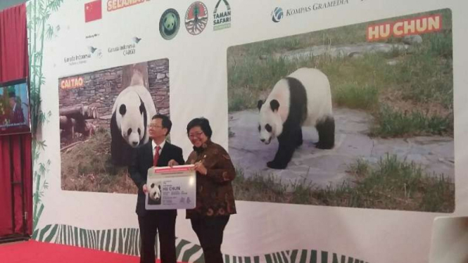 Giant Panda tiba di Indonesia