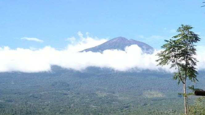 Obyek wisata Bukit Tangkeban di Kaki Gunung Slamet, Pemalang, Jawa Tengah