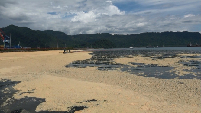 Minyak sawit yang tumpah di perairan Teluk Bayur.