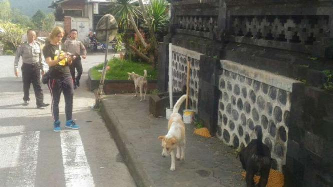 Aparat Kepolisian ikut mengurus hewan peliharaan yang ditinggalkan warga untuk mengungsi akibat peningkatan aktivitas Gunung Agung di Karangasem, Bali, pada Selasa, 3 Oktober 2017.