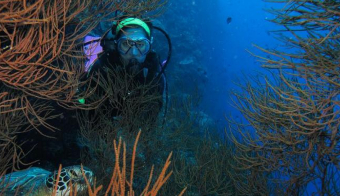 Traveler cantik menyelami keindahan Taman Laut Bunaken. 