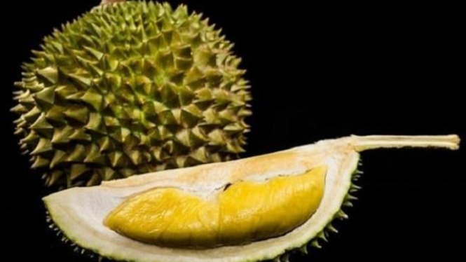 Download 7700 Koleksi Gambar Durian Busuk Paling Bagus Gratis HD