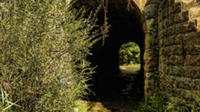 Screaming tunnel menjadi tempat yang paling menyeramkan