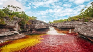 Sungai Cano Cristales Punya Lima Warna yang Terlihat Cantik