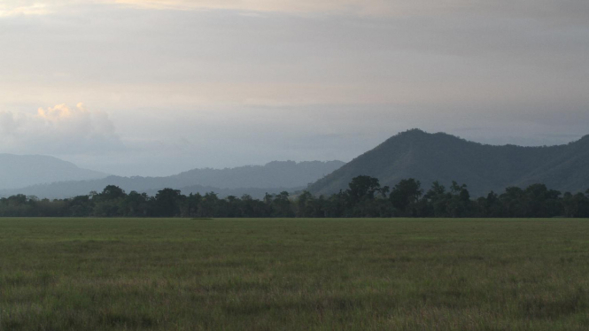 Taman Nasional Rawa Aopa Sulawesi Tenggara