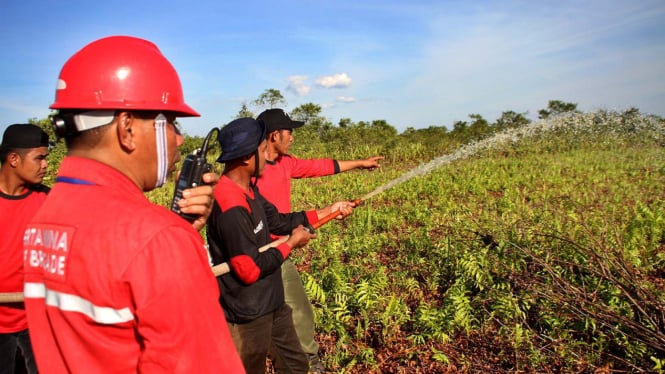 Pemadaman Api di Lahan Gambut