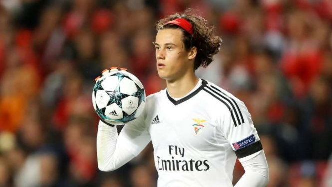 Kiper Benfica, Mile Svilar