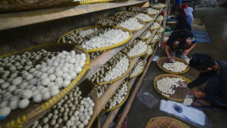 Lima Tahun Ada 214 Kasus Penyelewengan Dana Desa