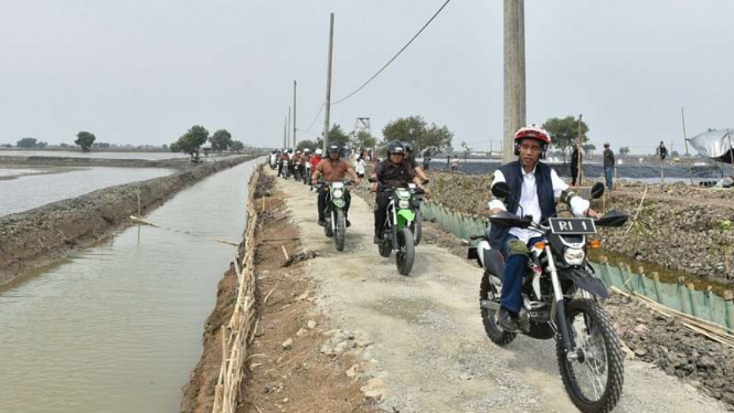 Jokowi saat kendarai motor trail di area tambak udang di Muara Gembong, Bekasi.