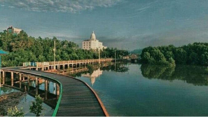 Indahnya Hutan Mangrove Kota Kendari