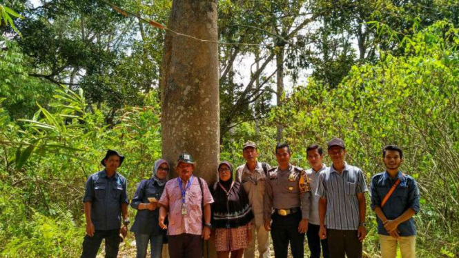 Petugas Balai Pelestarian Cagar Budaya menemukan menhir atau batu prasejarah di Jorong Tanah Longiah, Nagari Sungai Rimbang, Kecamatan Suliki, Kabupaten Limapuluh Kota, Sumatera Barat, pada 1 November 2017.