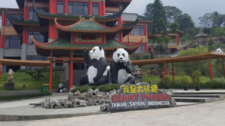 Aksi Menggemaskan Hu Chun dan Cai Tao Saat di Istananya