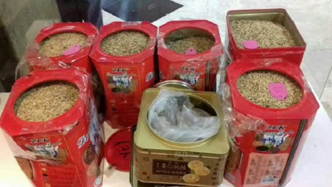 Benih padi asal Tiongkok diselundupkan di Bandara Soekarno-Hatta