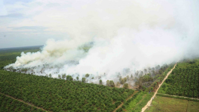 Dok. Kebakaran lahan dan hutan di Kalimantan