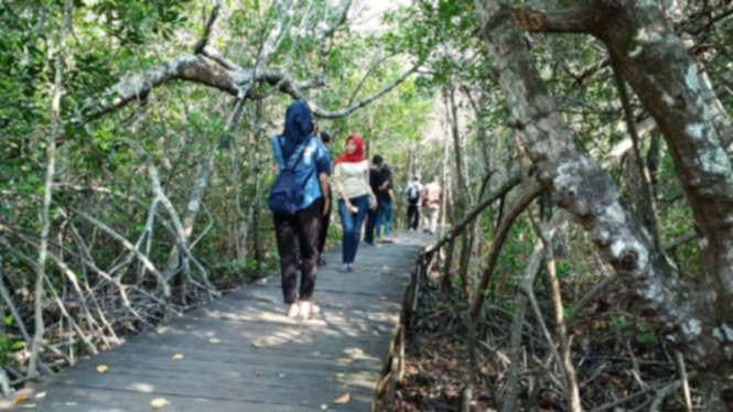 Wisatawan berfoto di hutan Mangrove Karimunjawa