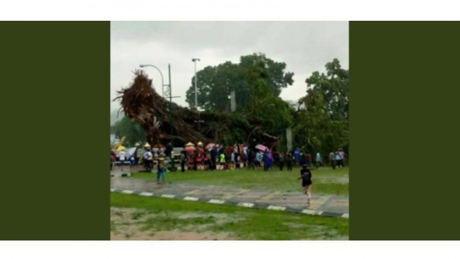 Badai yang merobohkan pohon raksasa di alun-alun Banjarnegara, Rabu (8/11/2017)