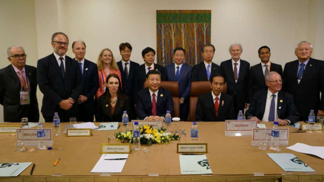 Presiden Jokowi dan Presiden Xi JInping dalam pertemua APEC ke 25 di VIetnam.