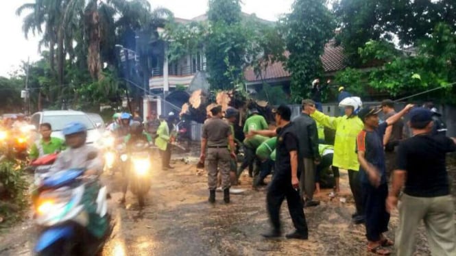 Pohon tumbang di Jalan Bendi, Jakarta Selatan, Senin, 13 November 2017