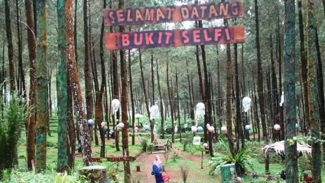 Bukit Selfie di Kaki Gunung Sumbing, Kabupaten Wonosobo