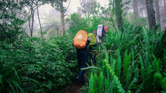 Trek menuju Gunung Slamet.