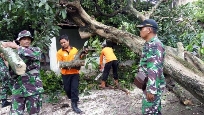 Sejumlah personel TNI dan BPBD memotong dan membersihkan sebuah pohon besar yang menimpa rumah warga usai angin puting beliung melanda Magetan, Senin (27/11/2017)