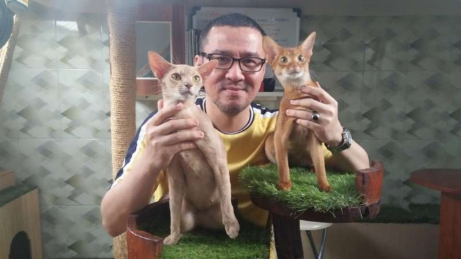 Surya Kencana memelihara 30 kucing di rumahnya