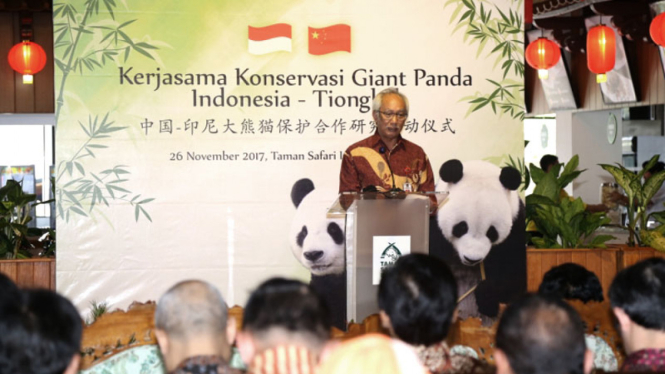 Kerja sama konservasi Giant Panda Indonesia-Tiongkok