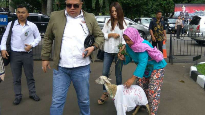 Model majalah dewasa Putri Stagi Wallter membawa kambing ke Polda Metro Jaya.