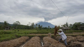 Masa Kritis Gunung Agung Belum Bisa Disimpulkan Selesai