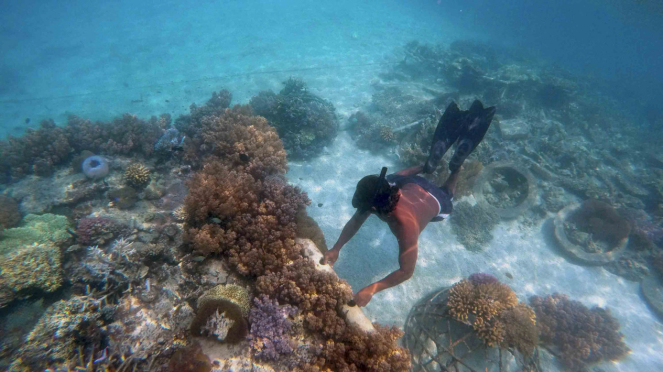 Wisata Alam di Kepulauan Seribu Jakarta