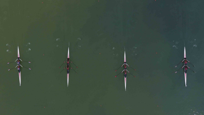 Ilustrarsi Rowing