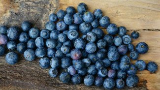 5 Superfood Ini Bisa Tingkatkan Kecerdasan Anak
