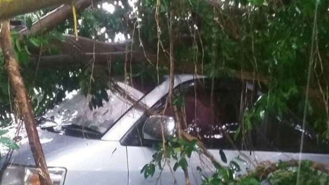Mobil yang hancur tertimpa pohon tumbang di Cawang, jakarta Timur.