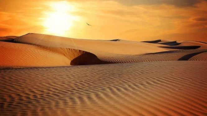 Ilustrasi gurun pasir.