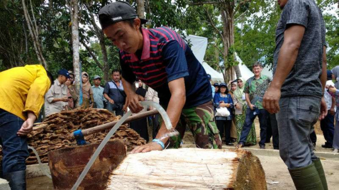 Proses pembuatan sagu di Desa Labela, Kecamatan Besulutu, Kabupaten Konawe, Sulawesi Utara, pada Selasa, 19 Desember 2017.