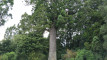 Photo Mini 1