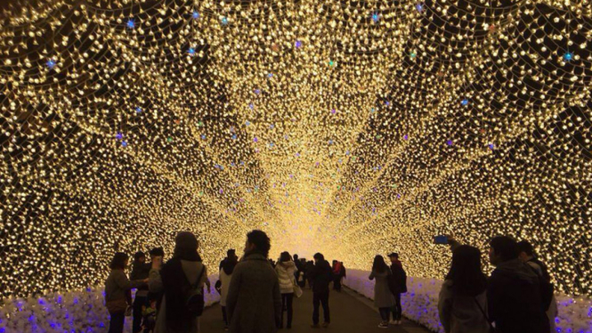 Nabana no Sato, iluminasi spektakuler terbesar di Jepang 