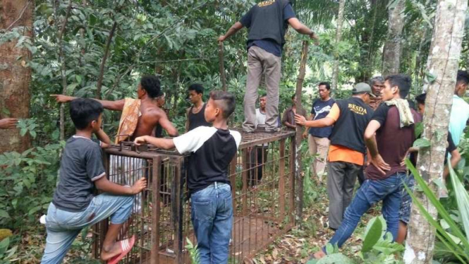 Warga bersama BKSDA membantu memasang perangkap Beruang Madu yang telah menyerang warga, Sabtu (23/12/2017)