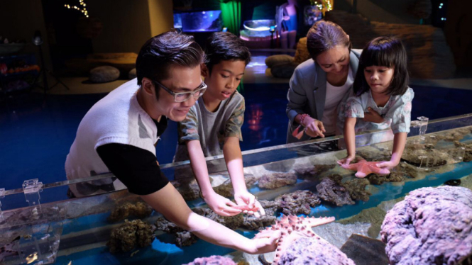Jakarta Aquarium.