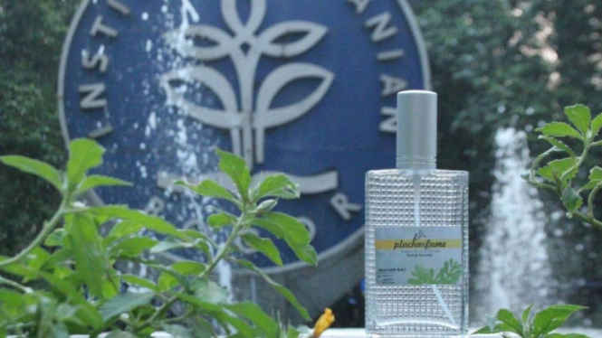 Parfum daun beluntas ciptaan mahasiswa IPB
