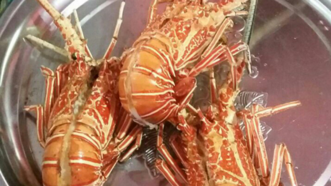 Udang lobster.