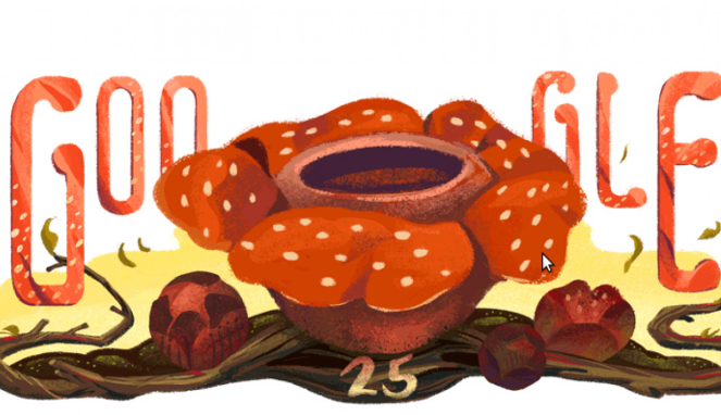 Google doodle bunga Rafflesia arnoldii