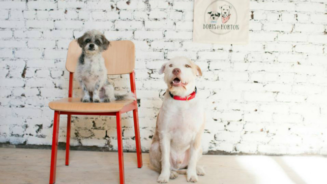 Kafe khusus anjing, Boris and Horton 