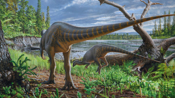 Ilustrasi dinosaurus seukuran ayam kalkun, Diluvicursor pickeringi