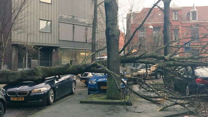 Sejumlah pohon tumbang menimpa mobil akibat Badai Friederike 