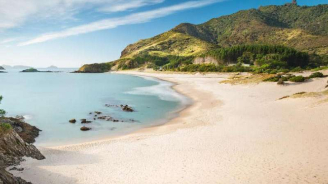 Pantai Whangarei Heads di Selandia Baru